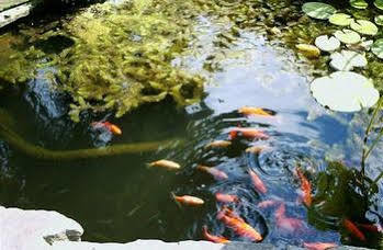 Four Creeks Bed & Breakfast Girard Bagian luar foto
